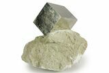 Natural Pyrite Cube In Rock - Navajun, Spain #337866-1